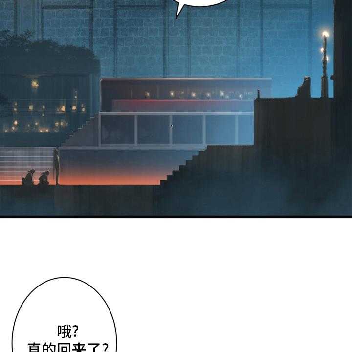 20.jpg