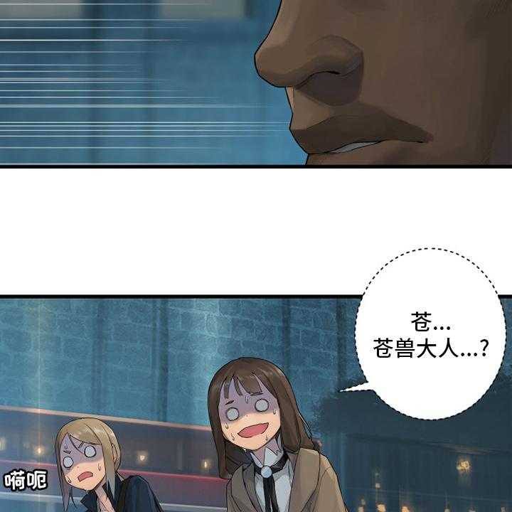 33.jpg