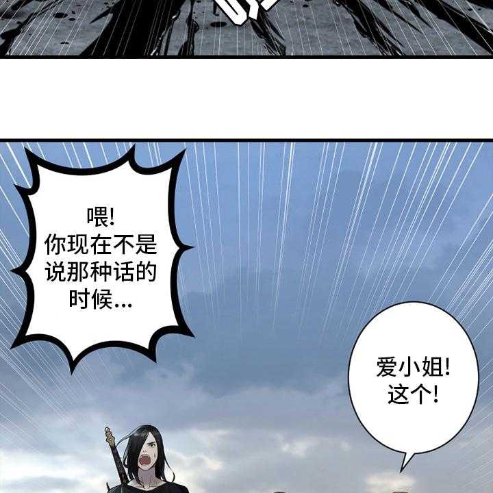 17.jpg