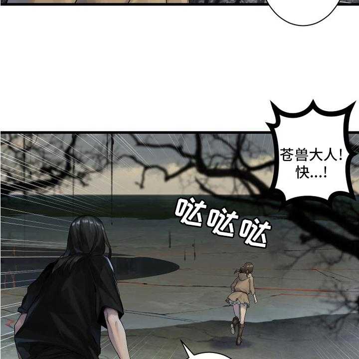 40.jpg