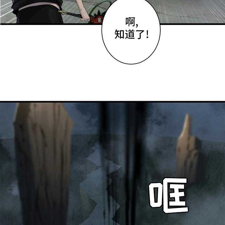 41.jpg