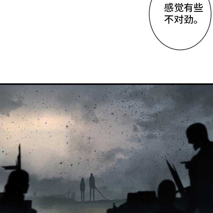 26.jpg