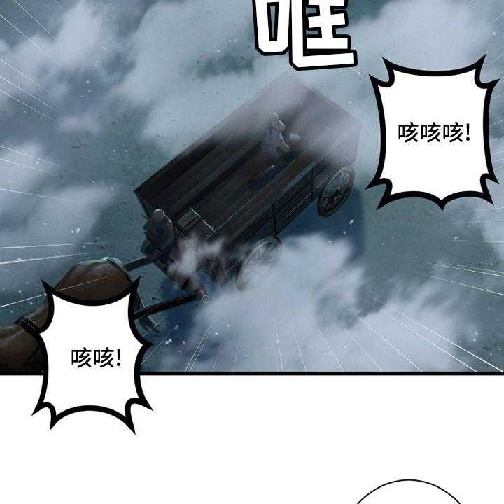 41.jpg