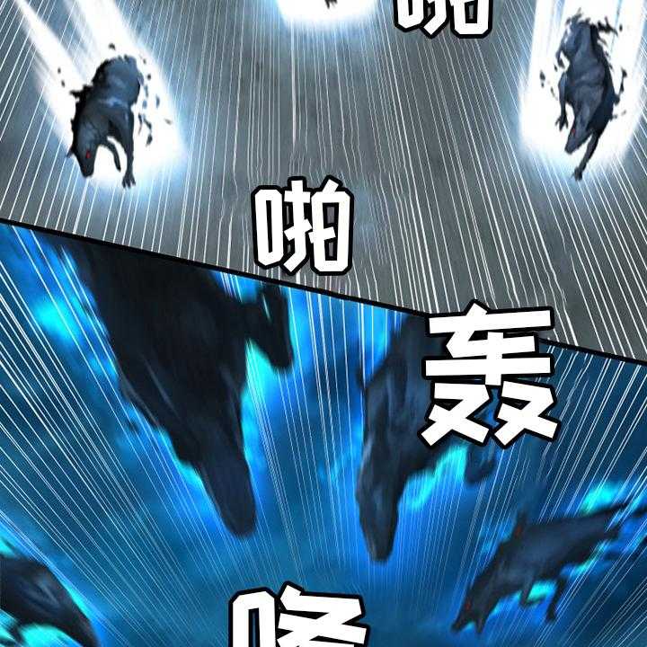 20.jpg