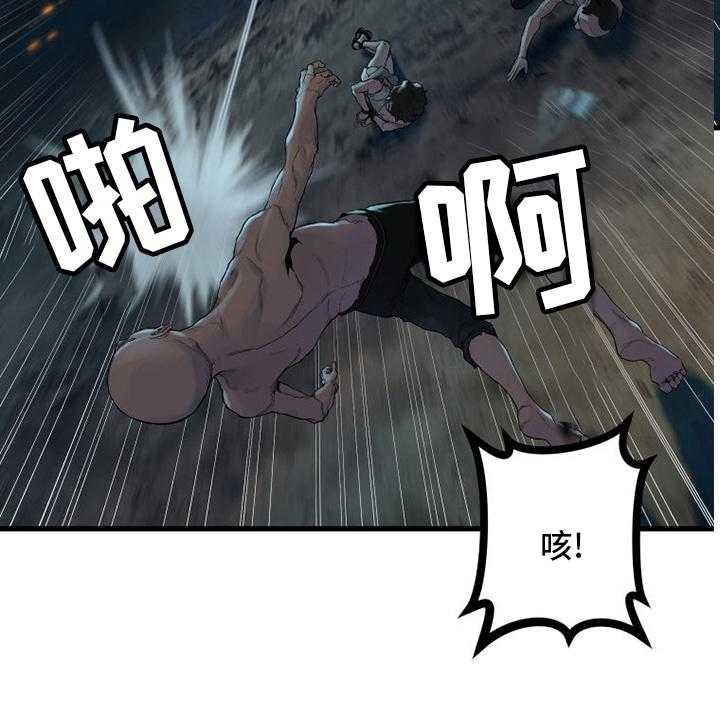 26.jpg