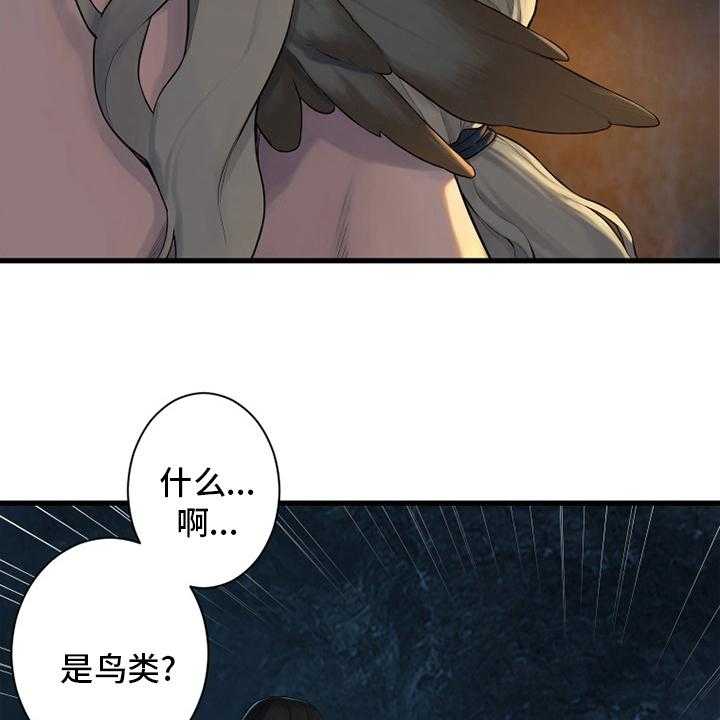 43.jpg