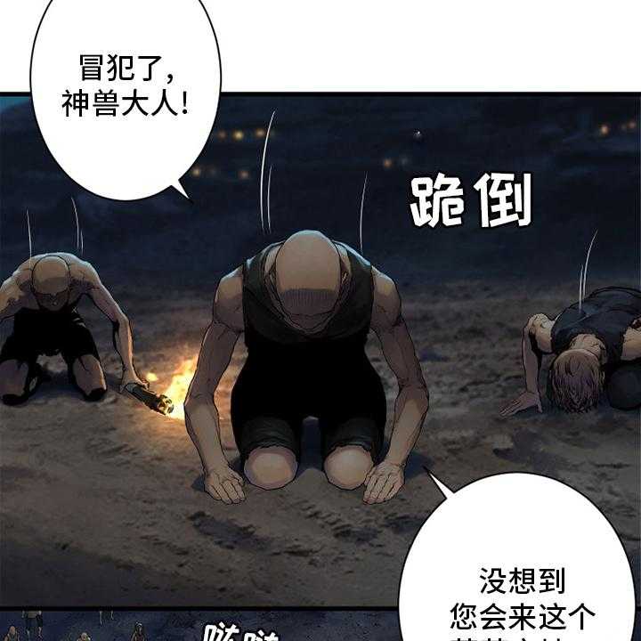 40.jpg
