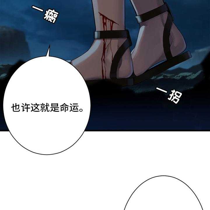 29.jpg