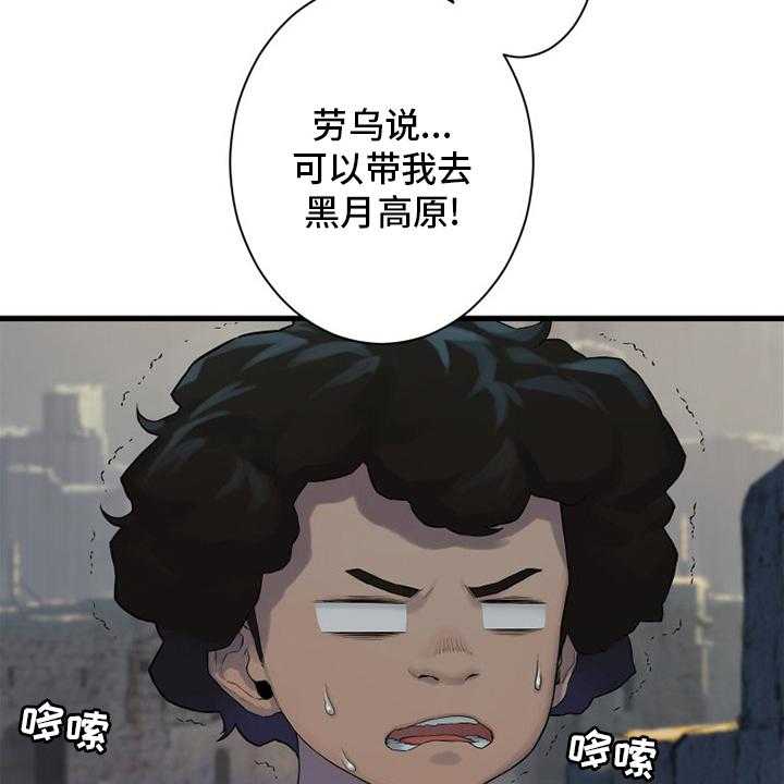 33.jpg
