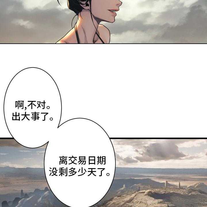 41.jpg