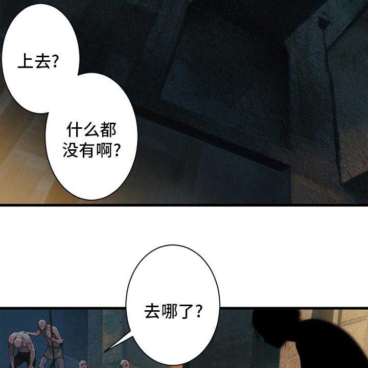 24.jpg