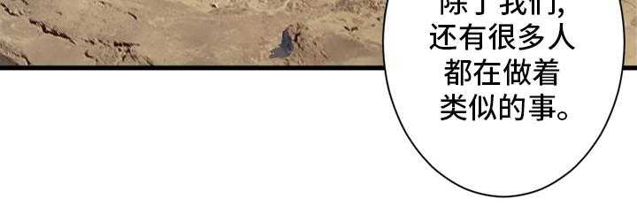41.jpg