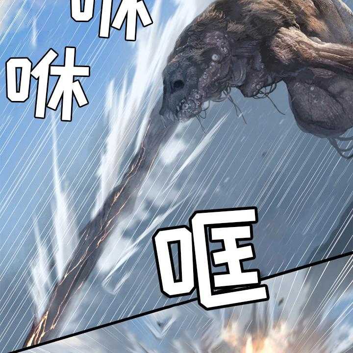 23.jpg