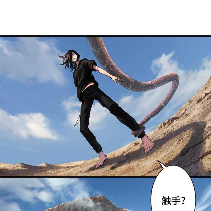 28.jpg