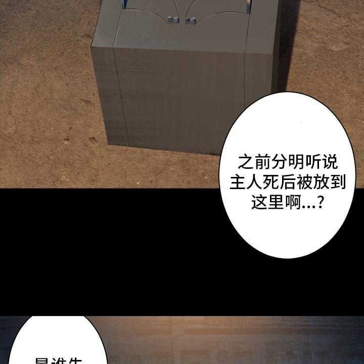 21.jpg