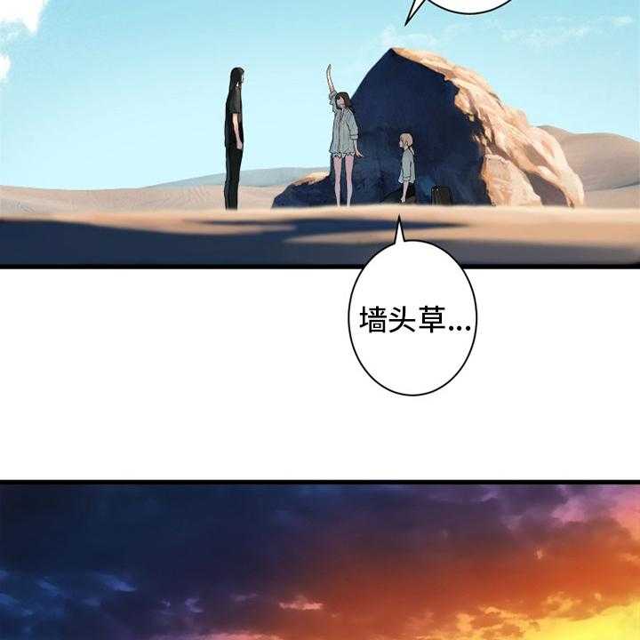 21.jpg