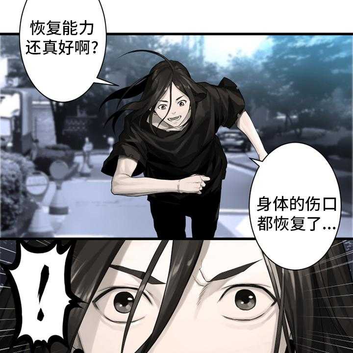 13.jpg