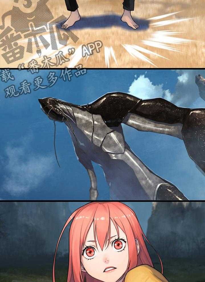 13.jpg