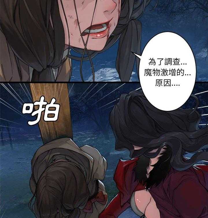 27.jpg