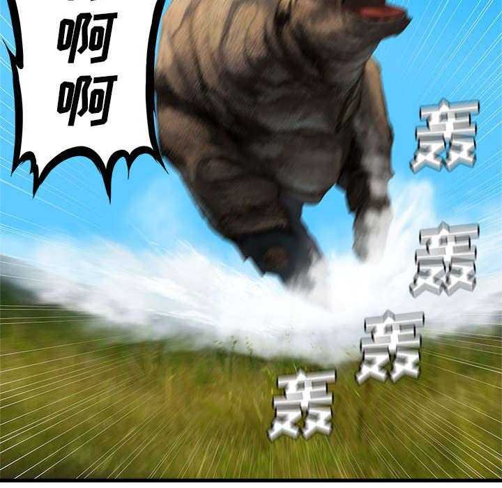 36.jpg