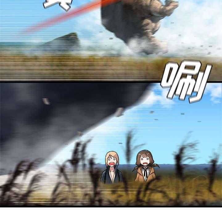 43.jpg