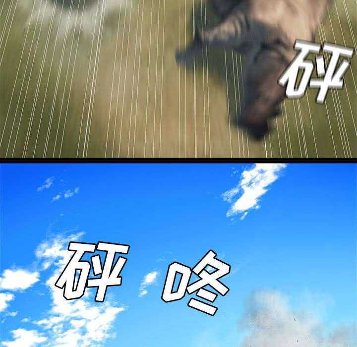 46.jpg
