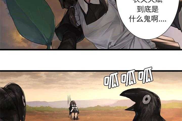 23.jpg