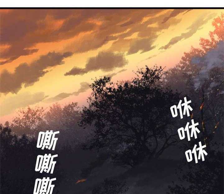 37.jpg