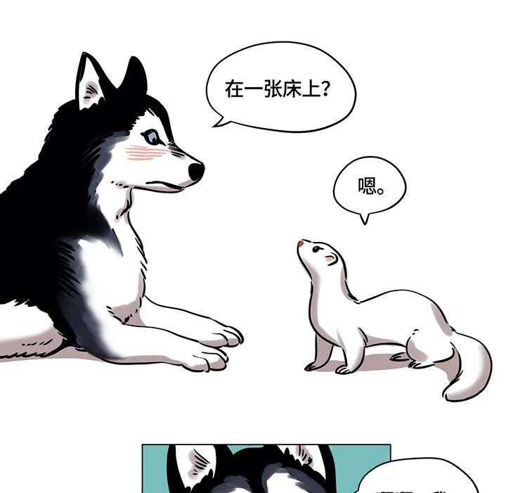 21.jpg