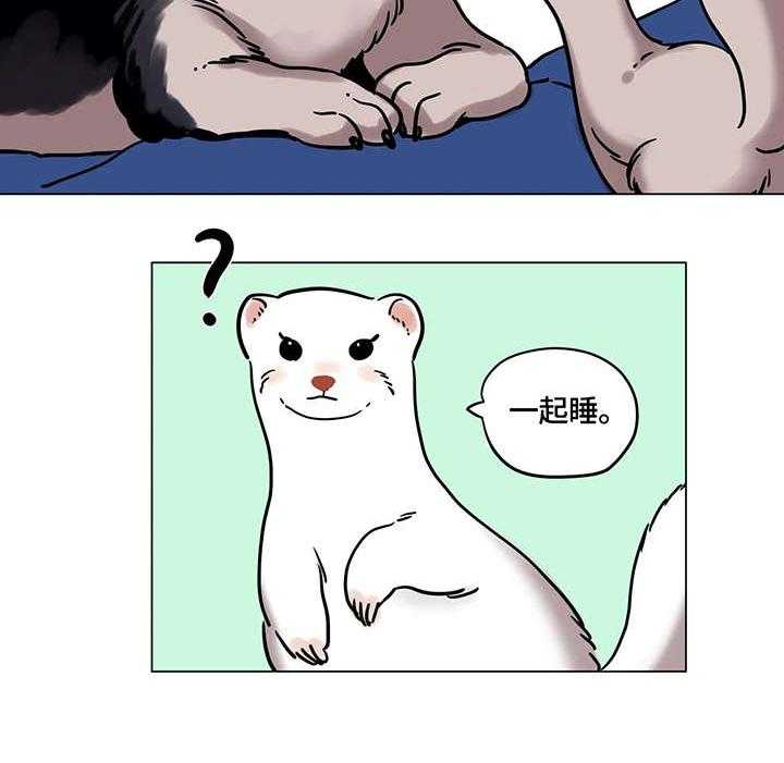 23.jpg