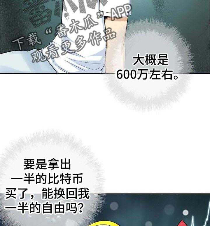 31.jpg