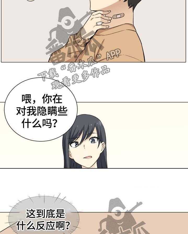 15.jpg