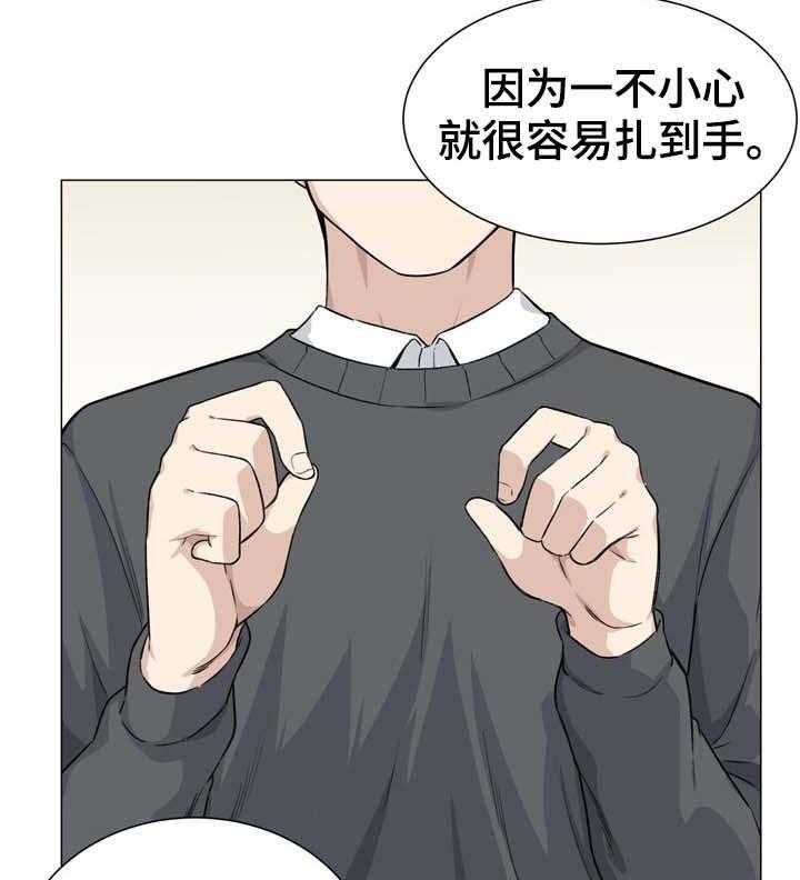 20.jpg