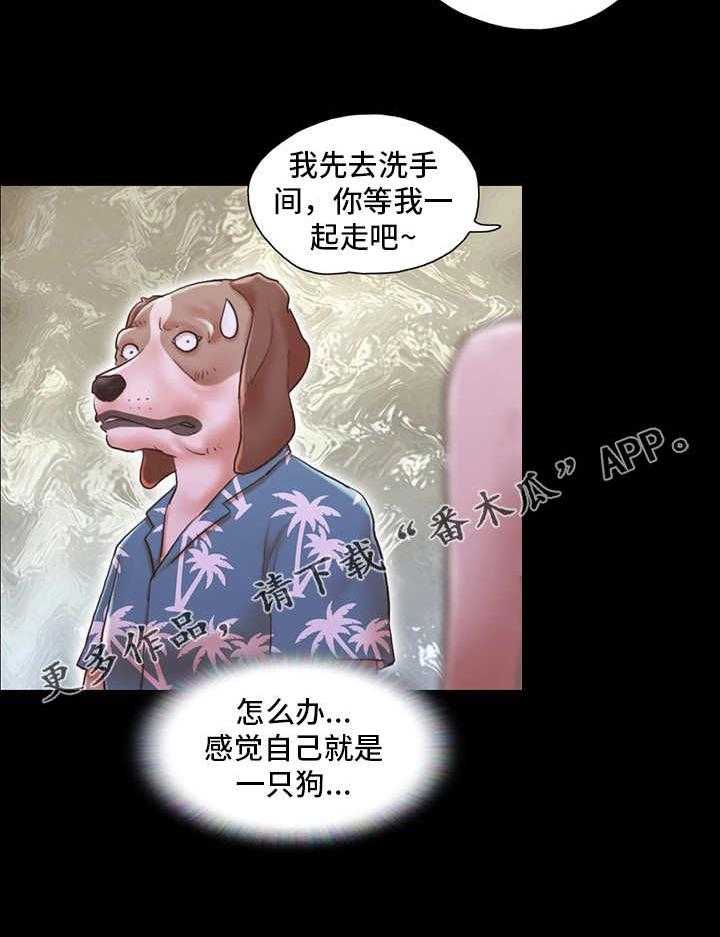 26.jpg