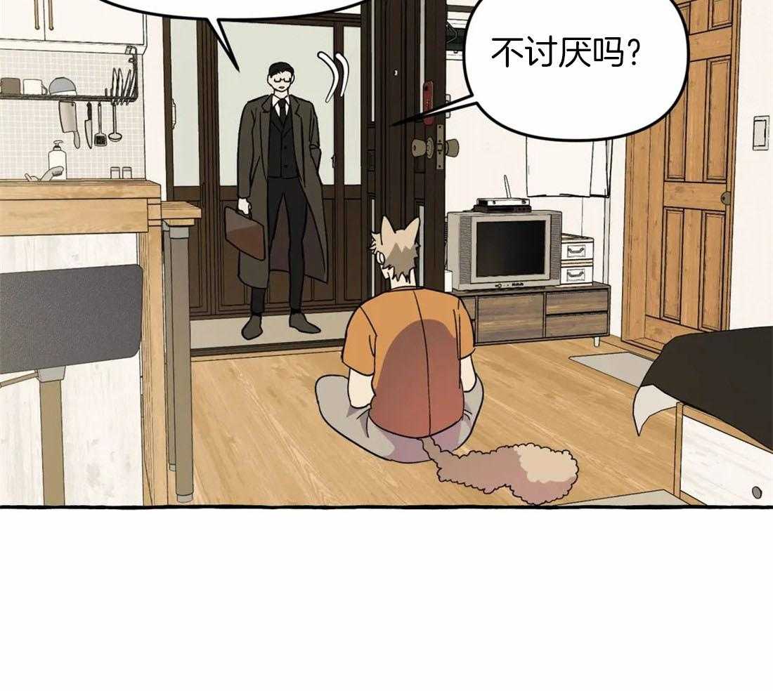 20.jpg