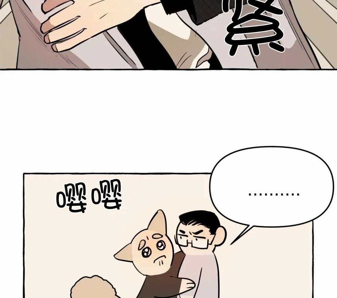 38.jpg