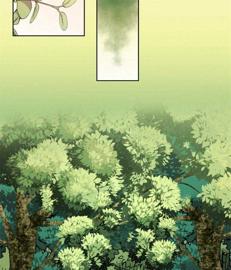 35.jpg