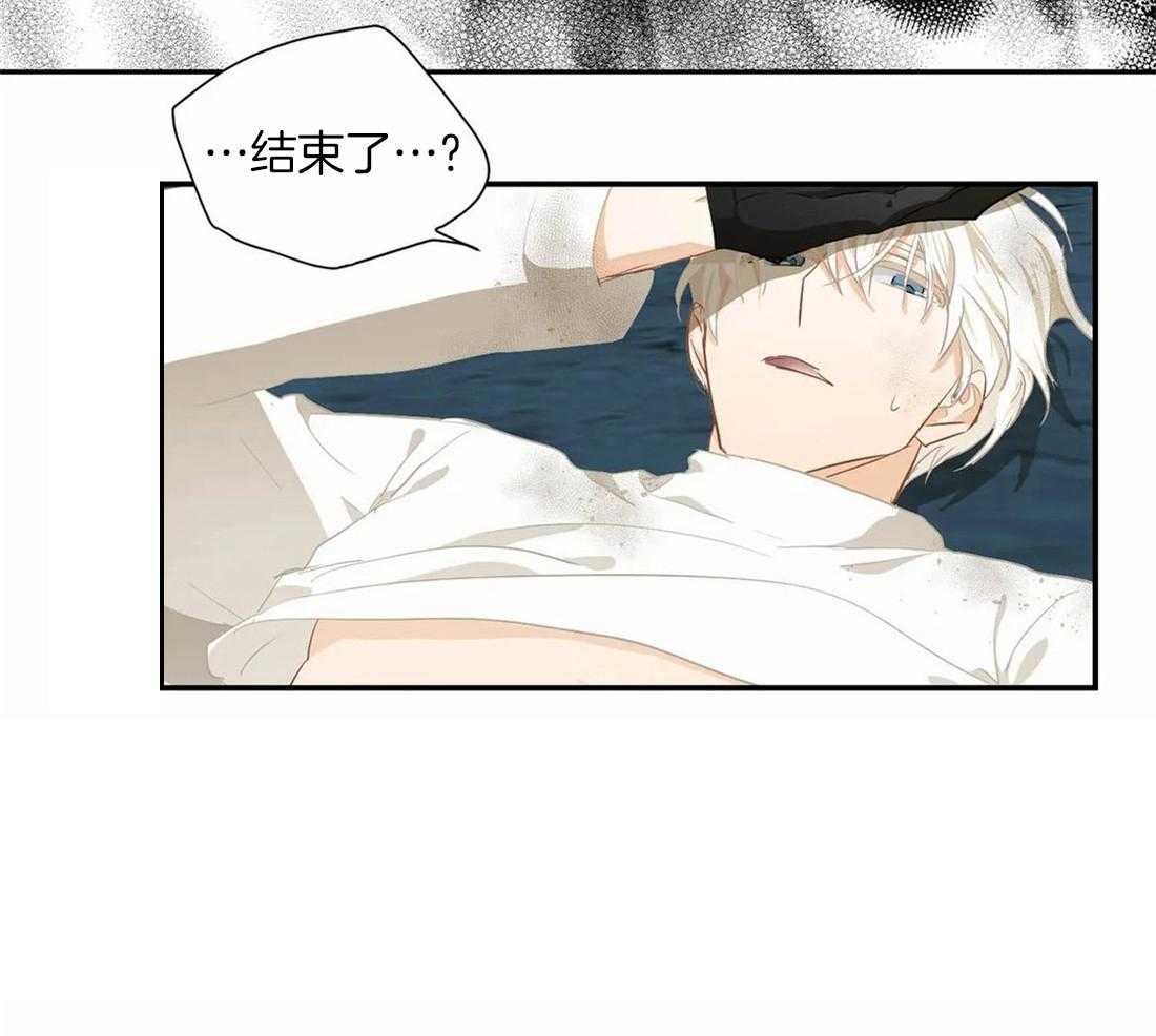 43.jpg