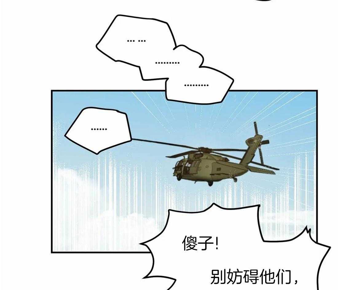 44.jpg