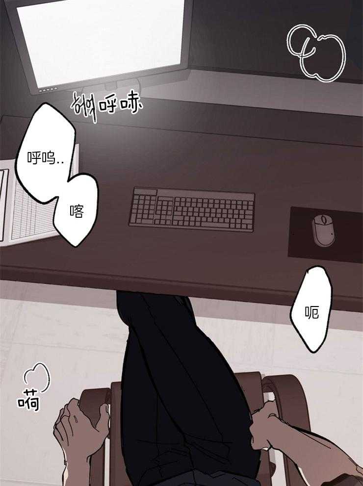 17.jpg