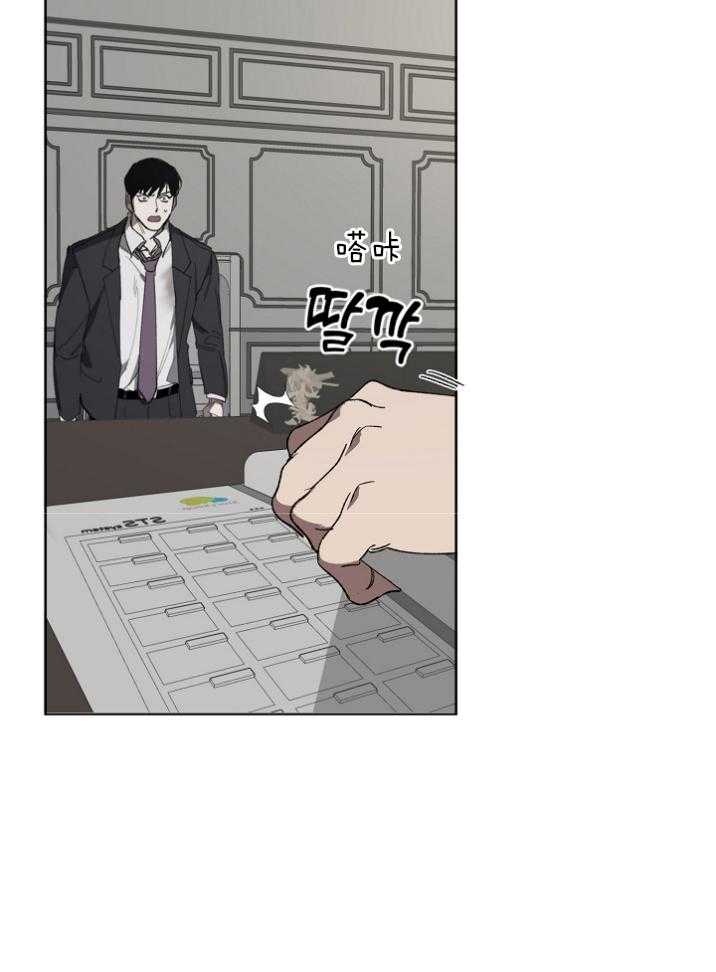 26.jpg
