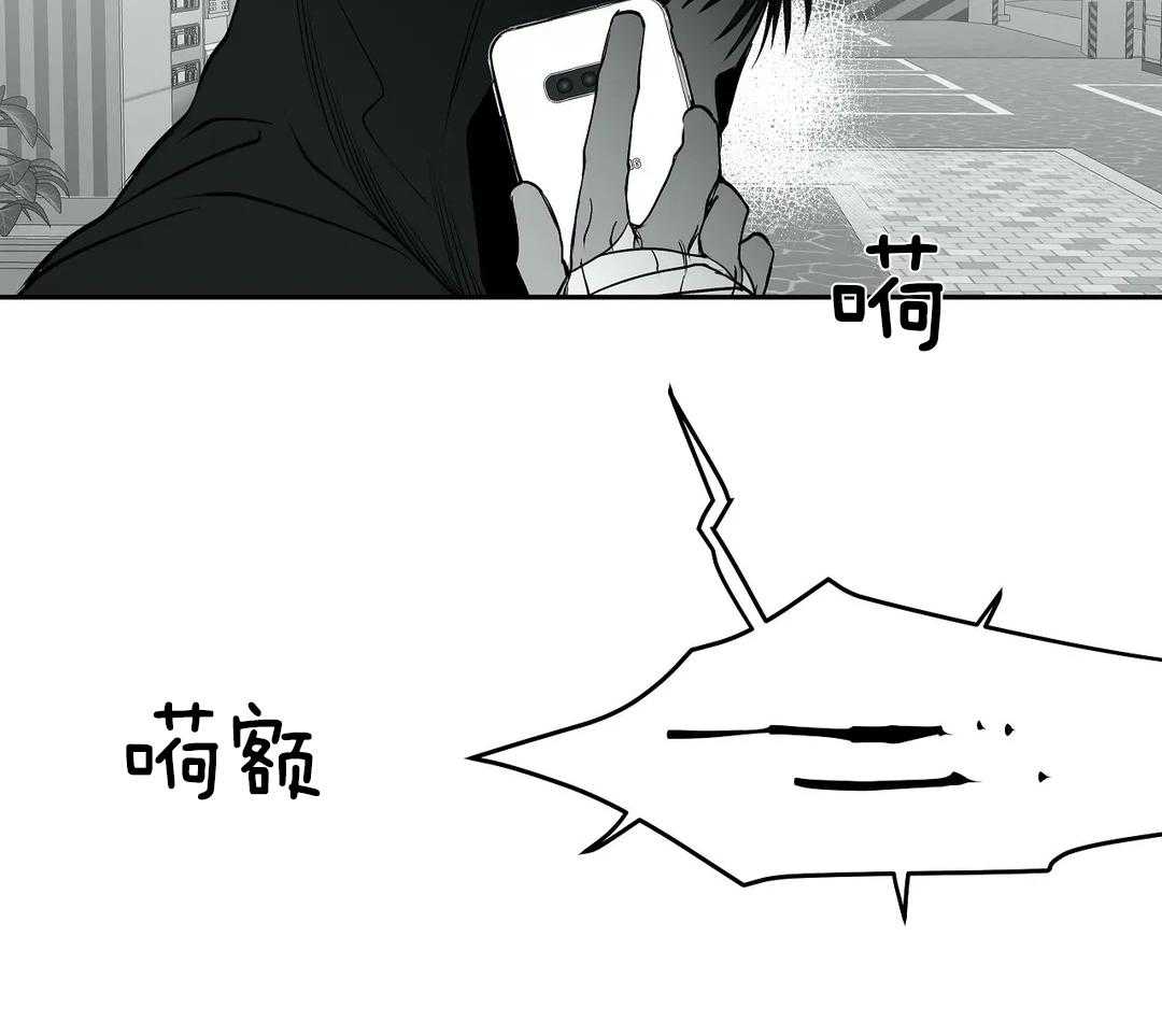 46.jpg