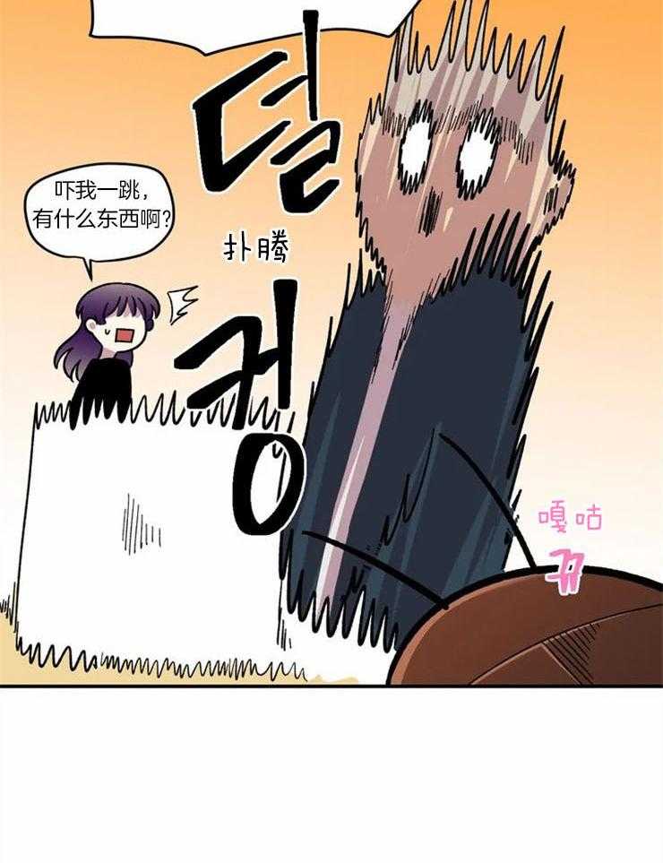 26.jpg