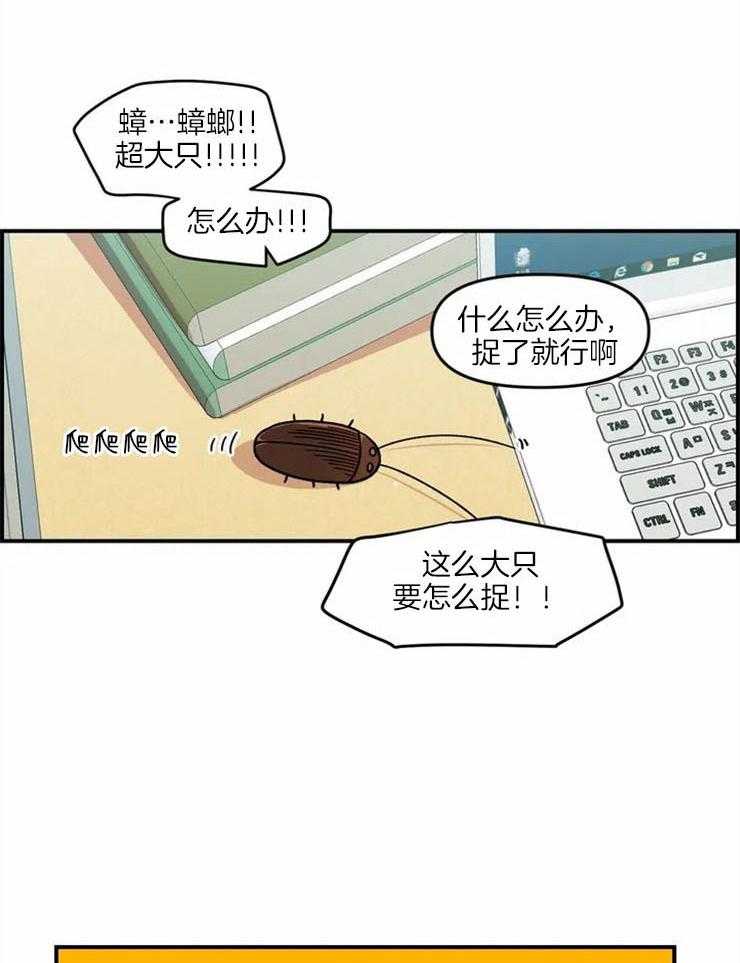 27.jpg