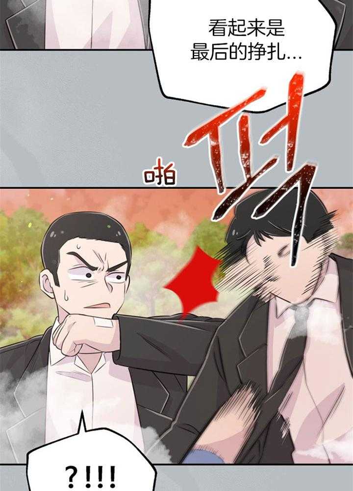 27.jpg