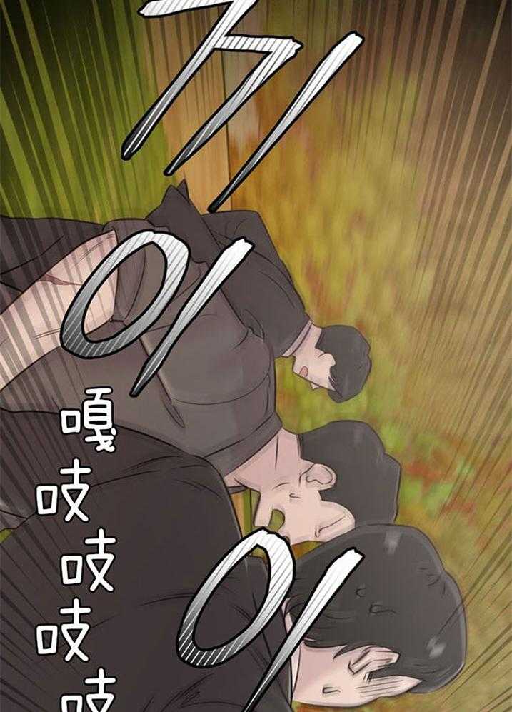 41.jpg
