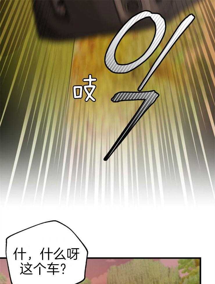 43.jpg