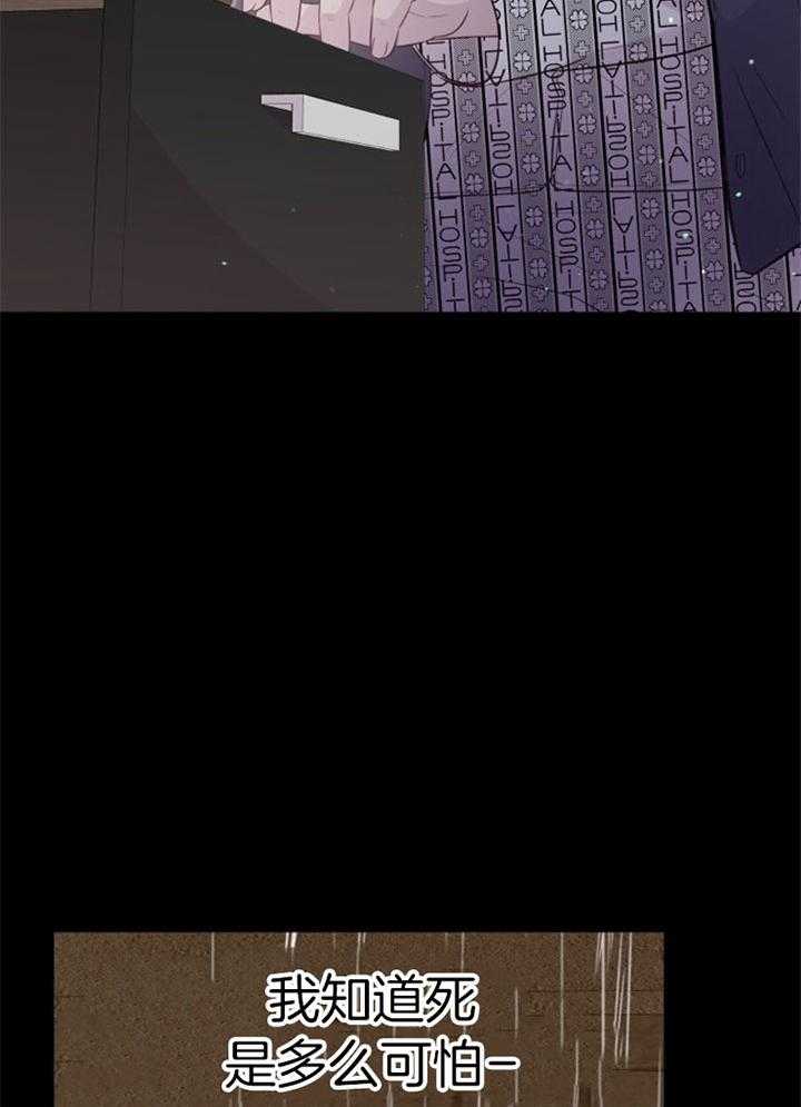 41.jpg