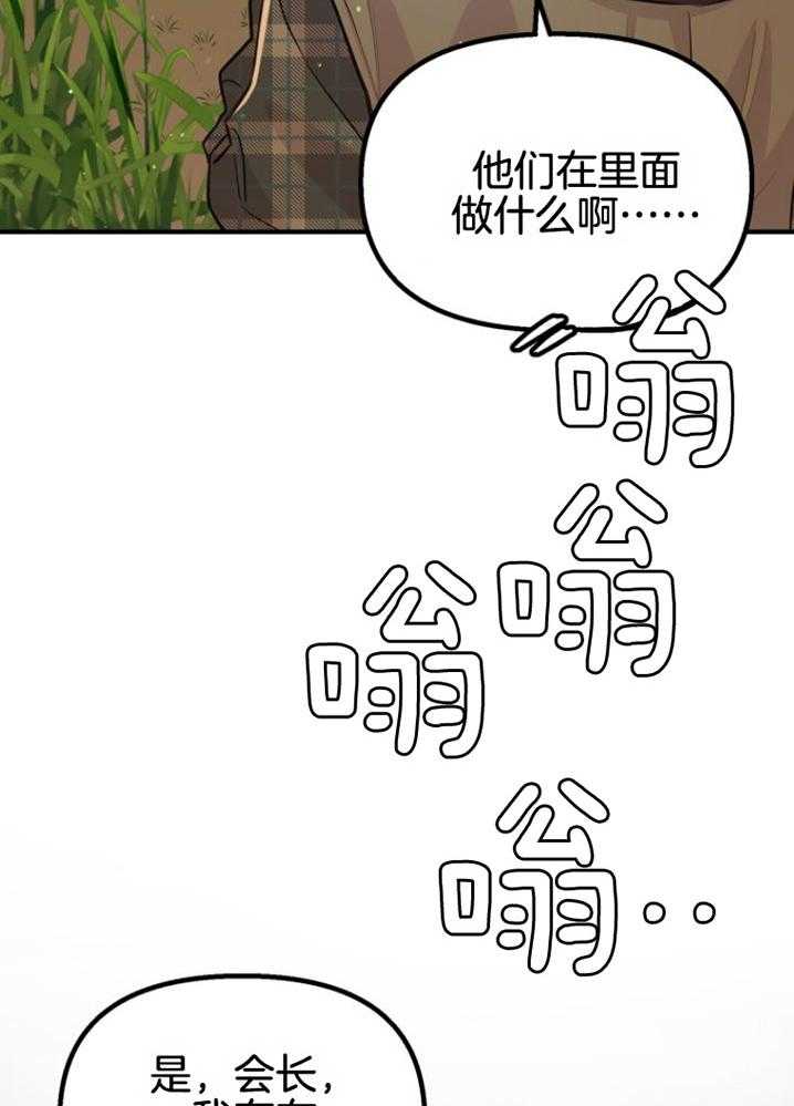 46.jpg