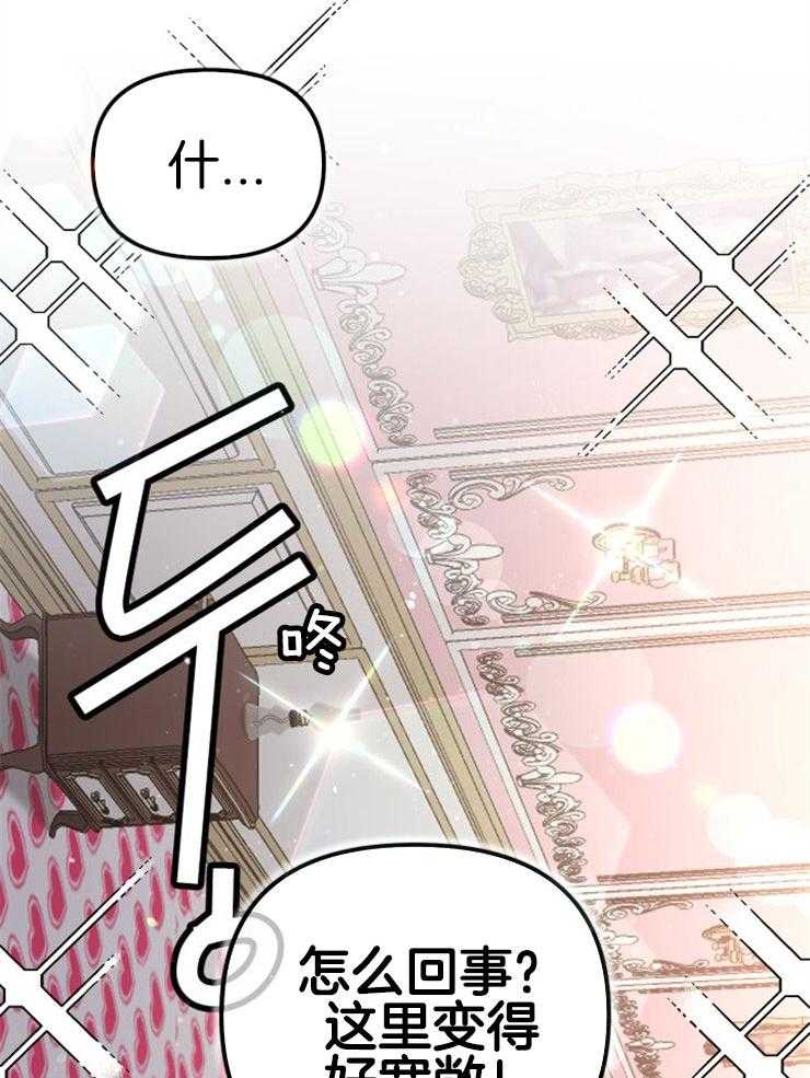 25.jpg